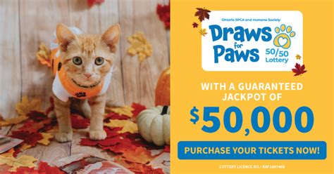 The BC SPCA has a big lottery so you can help animals in distress.